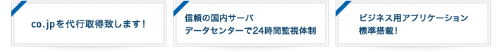 co.jpを代行取得致します！／信頼の国内サーバデータセンターで24時間監視体制／ビジネス用アプリケーション標準搭載！